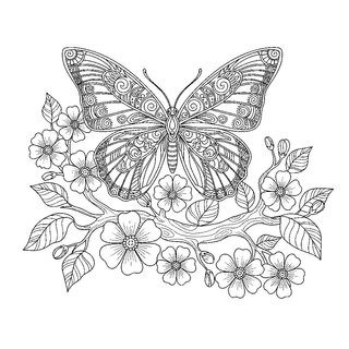 Részletes pillangó virágzó ágon