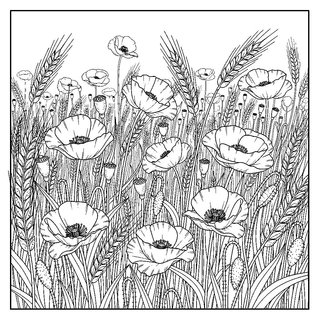 Részletes pipacs mező tájkép felnőtteknek