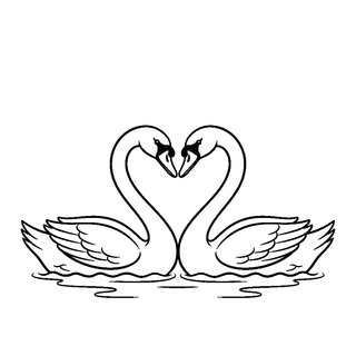 Egymással szemben úszó hattyúk szív alakú nyakkal